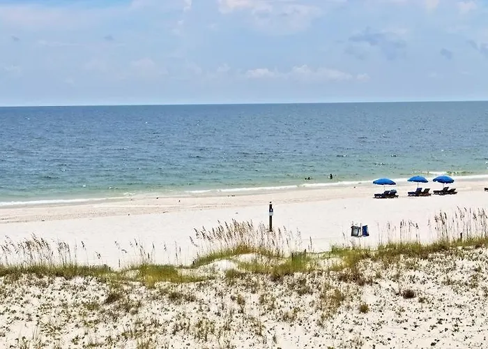 Two Little Lambs At Our Point Of View By Youngs Suncoast Gulf Shores